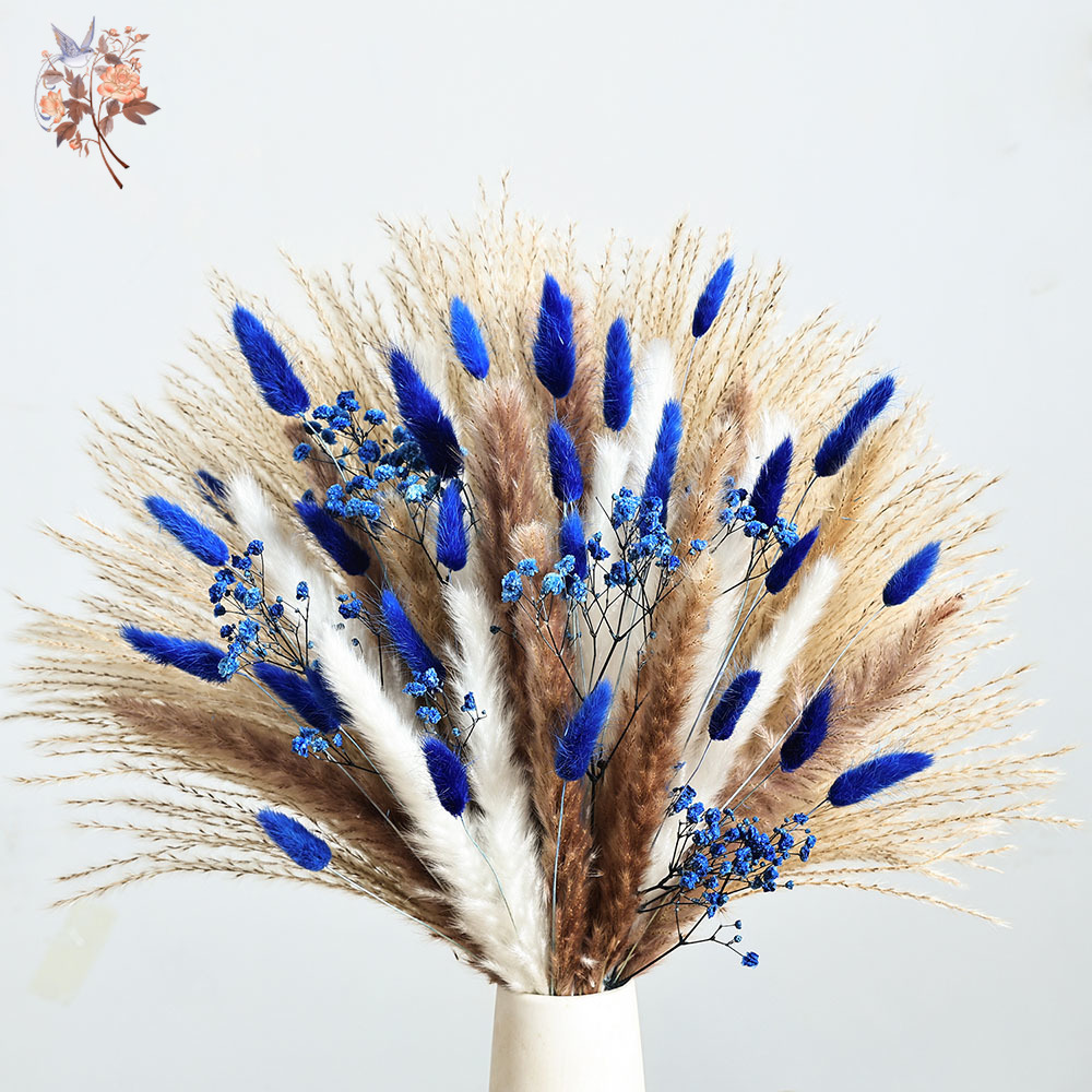 70 الجذعية الأزرق رقيق أرنب ذي - مراجعة Dried Flower Bulk وسعره