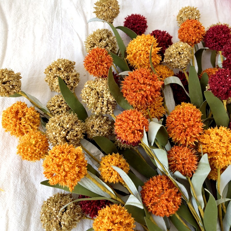 زهرة الأقحوان المجففة الاصطناع - مراجعة Dried Flower Bulk وسعره