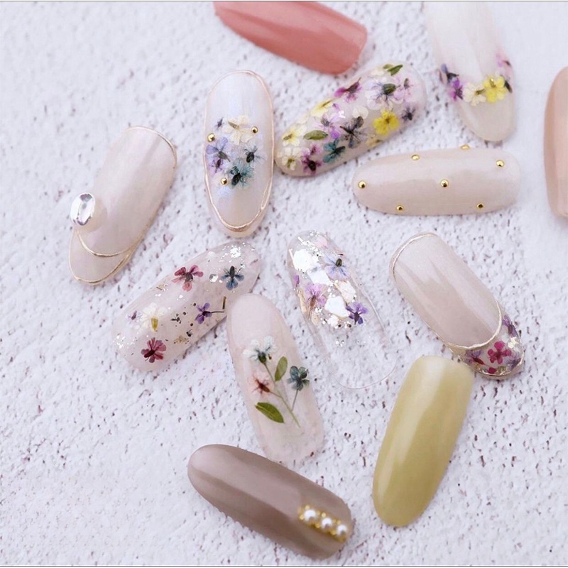 زهور مجففة صغيرة مختلطة، فن ال - مراجعة Dried Flower Bulk وسعره
